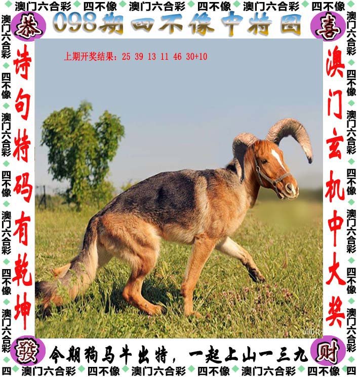 2025新澳四不像正版今晚资料,词语释义、解释和落实和警惕虚假宣传-全面释义、解释和落实